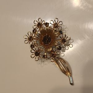 Ladies broach with brown stone